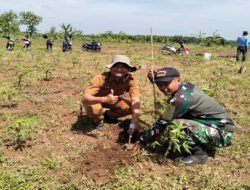 Babinsa Ngadirejo Dukung Gerakan Tanam 5.000 Pohon untuk Kelestarian Lingkungan