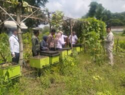 CDK Bojonegoro Berikan Pembina kepada KTH dalam Rangka Pengembangan Usaha Kelompok