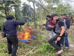 Polresta Malang Kota Bongkar Arena Judi Sabung Ayam