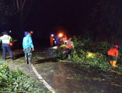 TNI-Polri dan BPBD Trenggalek Sigap Tangani Pohon Tumbang di Jalur Nasional