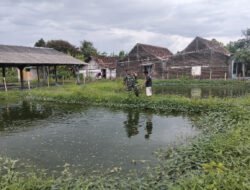 Babinsa Purworejo Dorong Peningkatan Ekonomi Warga Lewat Budidaya Ikan Patin