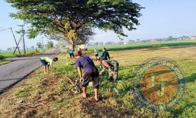 Babinsa Koramil 0803-10/Pilangkenceng Bersama Warga Gotong Royong Bersihkan Jalan Desa