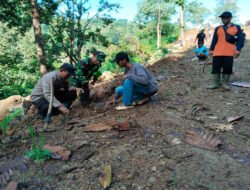 Teguhkan Komitmen Jaga Lingkungan, Babinsa Kare Ajak Warga Tanam Pohon