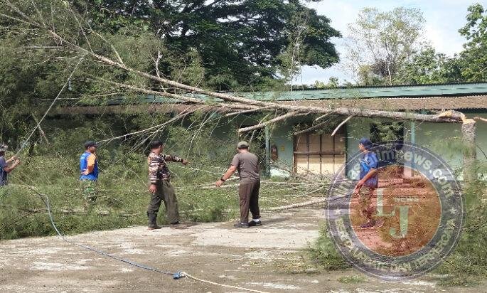 Antisipasi Bencana Pohon Tumbang, Personel Kodim Pacitan Lakukan Aksi Mitigasi Pemangkasan Pohon