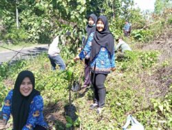 Setelah Terima SK P3K bersama Pemdes Prupuh dan Perhutani Giat Jariyah Alam