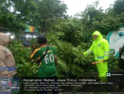 Hujan Deras Disertai Angin Kencang, Pohon Tumbang di Pasar Agrobis Babat Berhasil Dievakuasi