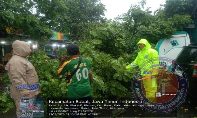 Hujan Deras Disertai Angin Kencang, Pohon Tumbang di Pasar Agrobis Babat Berhasil Dievakuasi