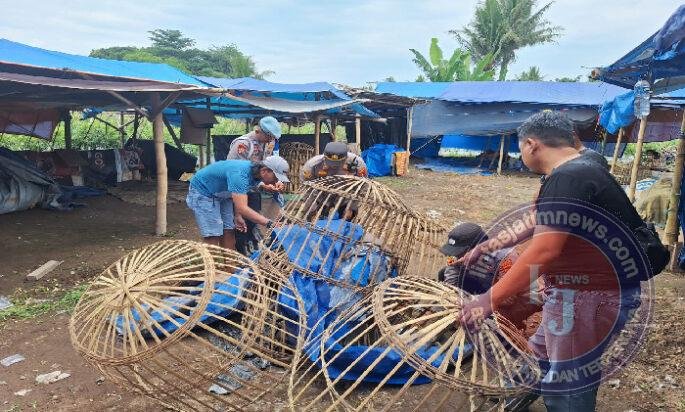 Polresta Banyuwangi Bongkar Arena Judi Sabung Ayam