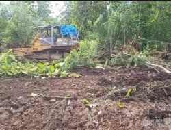 SWI Tancap Gas Green Economy, 50 Hektare Tebu Ditanam di Madiun