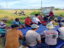 PDM Kabupaten Madiun Gelar Tasyakuran Pembukaan Usaha Greenhouse Melon