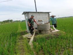 Babinsa Desa Tiron Dampingi Pompanisasi Sawah Warga