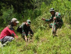 Danramil Selo Pimpin Penghijauan Lereng Merbabu, Tanam Pohon Demi Jaga Mata Air dan Cegah Longsor