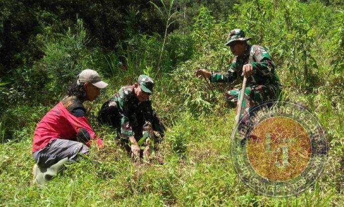 Danramil Selo Pimpin Penghijauan Lereng Merbabu, Tanam Pohon Demi Jaga Mata Air dan Cegah Longsor