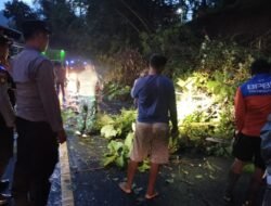 Respon Cepat TNI-Polri dan BPBD Trenggalek Singkirkan Rumpun Bambu yang Menutup Jalan Nasional