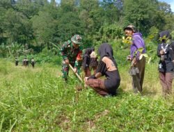 Hijaukan Kare, Kodim 0803/Madiun Ambil Peran Antisipasi Bencana Alam.