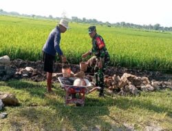 Peduli Lingkungan, Babinsa Dawuhan Gotong Royong Bangun Talud di Persawahan Warga