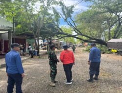 TNI-Polri dan BPBD Evakuasi Pohon Tumbang di Panggul Trenggalek