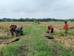 Babinsa Nglames Dampingi Pengukuran Sawah Bengkok untuk Pembangunan Sekolah Rakyat
