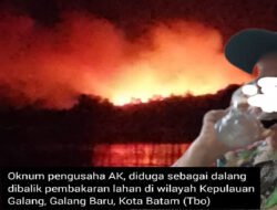 Lelaku Mafia Ditengah Kobaran “Api” Pulau Penyangga : Lahan Warga Lenyap BP Batam Senyap