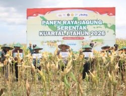 Hadiri Panen Raya Jagung, Dandim 0803/Madiun Dorong Produktivitas Petani