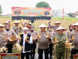Polda Jatim Gelar Panen Raya Jagung Serentak Kuartal IV di Sidoarjo