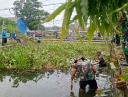 Koramil Babat Gelar Karya Bakti Bersihkan Enceng Gondok Antisipasi Banjir
