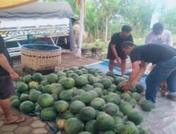 Panen Raya di Lapas Banyuwangi Hasilkan 3 Ton Semangka