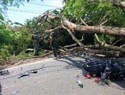 Respon Cepat Aparat, Pohon Tumbang di Jalan Nasional Durenan Berhasil Dievakuasi