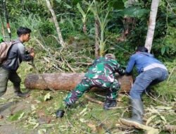 Angin Kencang Lumpuhkan Akses Jalan Bendungan Trenggalek, Babinsa dan Warga Bergerak Cepat