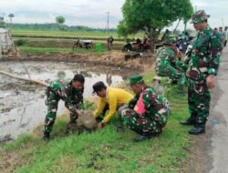 Jaga Masa Depan, Babinsa Gading Tanam Pohon di Sepanjang Jalan Persawahan