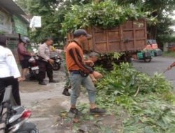 Antisipasi Pohon Tumbang, Babinsa Mangkubumen Pimpin Kerja Bakti Perempelan Ranting Pohon