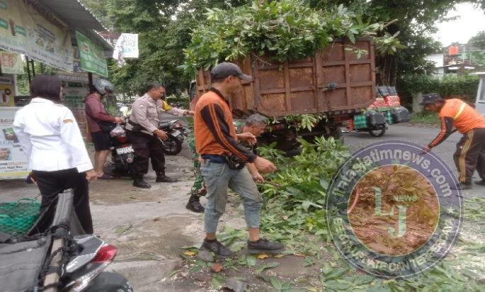 Antisipasi Pohon Tumbang, Babinsa Mangkubumen Pimpin Kerja Bakti Perempelan Ranting Pohon