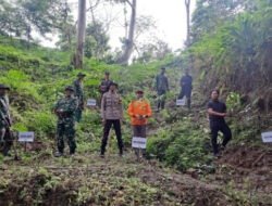 Cegah Longsor Sejak Dini, Koramil Saradan Hijaukan Jalan Jurang Toleh