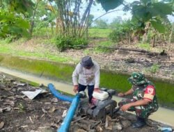 Pastikan Air Sawah Tetap Mengalir, Babinsa Kedungbanteng Cek Pompanisasi Bersama Petani