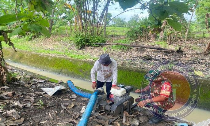 Pastikan Air Sawah Tetap Mengalir, Babinsa Kedungbanteng Cek Pompanisasi Bersama Petani