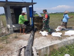 Pompanisasi Jadi Harapan Petani, Babinsa Dampingi Pengairan Sawah di Desa Bagi