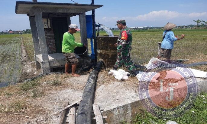 Pompanisasi Jadi Harapan Petani, Babinsa Dampingi Pengairan Sawah di Desa Bagi