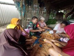 Babinsa Dampingi Petani Muneng olah Hasil Panen Jagung