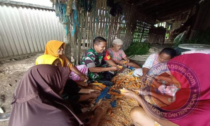 Babinsa Dampingi Petani Muneng olah Hasil Panen Jagung
