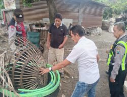 Polresta Sidoarjo Bongkar Dua Arena Sabung Ayam di Lokasi Berbeda