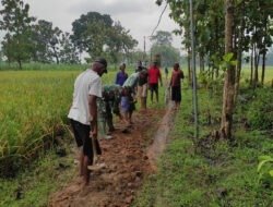 Demi Akses Lancar ke Sawah, Babinsa Sawahan Gotong Royong Ratakan Jalan Bersama Warga