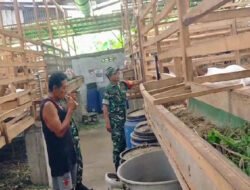 Babinsa Cari Ilmu ke Peternak, Pelajari Cara Memilih Bibit Kambing Unggul