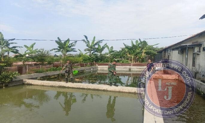 Babinsa Tinjau Usaha Perikanan Warga, Beri Dukungan Tingkatkan Produktivitas