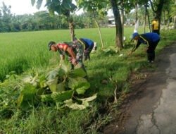 Bersih Desa, Warga dan Babinsa Purwosari Perkuat Kebersamaan Lewat Karya Bakti