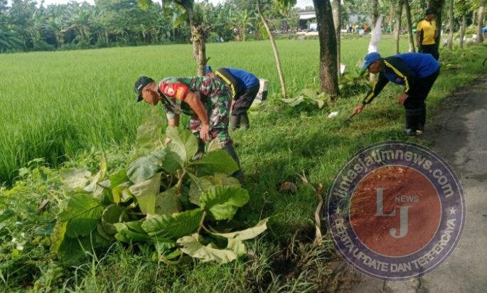Bersih Desa, Warga dan Babinsa Purwosari Perkuat Kebersamaan Lewat Karya Bakti