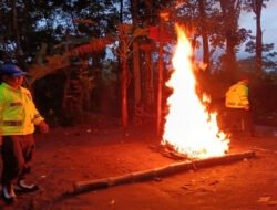 Polres Malang Bongkar Arena Sabung Ayam di Sumberpucung, Berawal dari Laporan 110