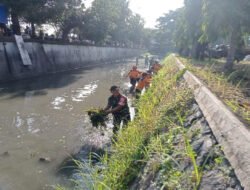 Sungai Setia Budi Dibersihkan, Dandim Turun Langsung Bersama Forkopimda