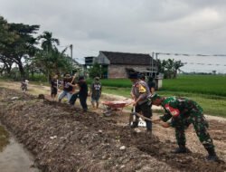 Sentuhan Tangan Babinsa dan Warga, Jalan Sawah di Kenongorejo Kini Lebih Rata