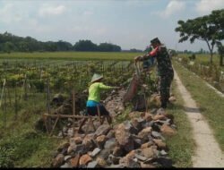 Demi Sawah Cukup Air, Babinsa dan Petani Kenongorejo Bangun Irigasi Bersama