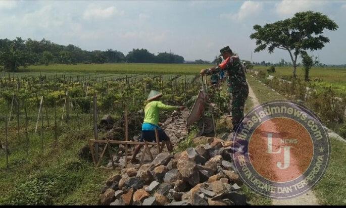 Demi Sawah Cukup Air, Babinsa dan Petani Kenongorejo Bangun Irigasi Bersama
